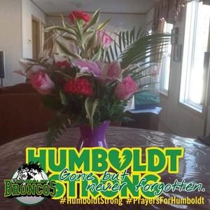 Meet your Posher, Diane